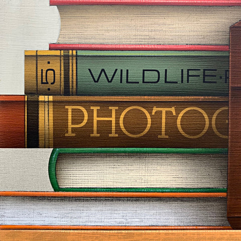 Detail of books on wildlife and photography in a painting by James Carter at Cottage Curator - Sperryville VA Art Gallery