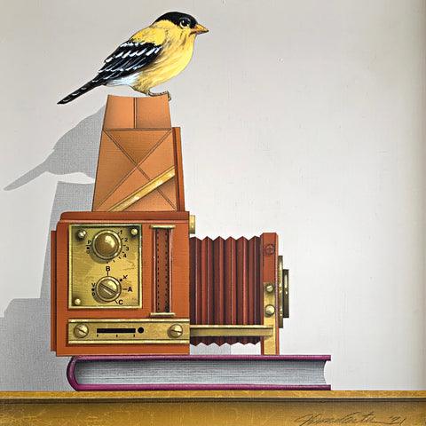 Bird Watching (Gold Finch) - a painting of a goldfinch perched on top of an old-fashioned camera sitting on a book - by artist James Carter at Cottage Curator - Sperryville VA Art Gallery