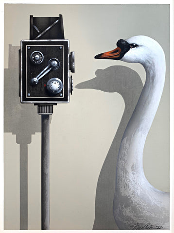 Painting of Mute Swan in front of an antique recording device by James Carter at Cottage Curator - Sperryville VA Art Gallery