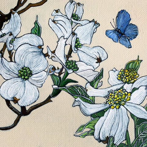 Detail of painting with dogwood branches in various blooming stages with azure butterfly in upper right corner against an ivory background by Frances Coates at Cottage Curator - Sperryville VA Art Gallery