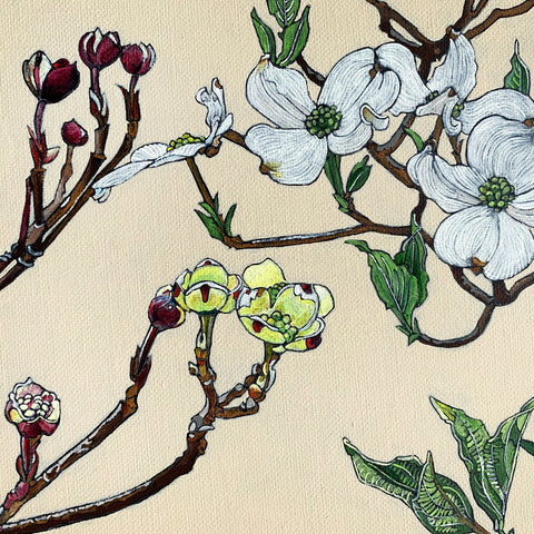 Detail of acrylic painting with dogwood branches in various blooming stages of red, yellow and white against an ivory background by Frances Coates at Cottage Curator - Sperryville VA Art Gallery