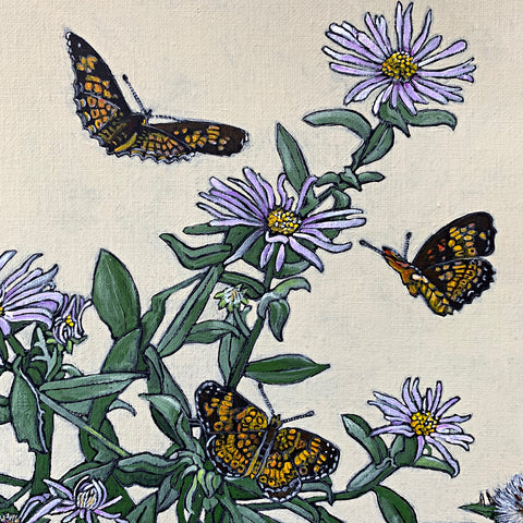 Detail of painting of purple asters with orange and black northern crescent butterflies against a cream background by Frances Coates at Cottage Curator - Sperryville VA Art Gallery