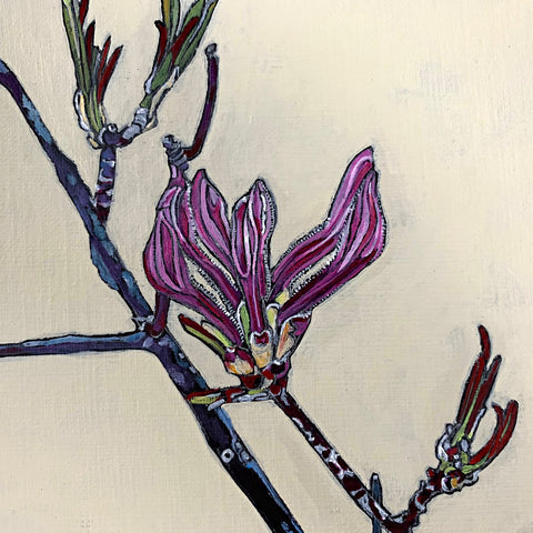 Painting of pinxter azalea stages on white background by Frances Coates at Cottage Curator - Sperryville VA Art Gallery