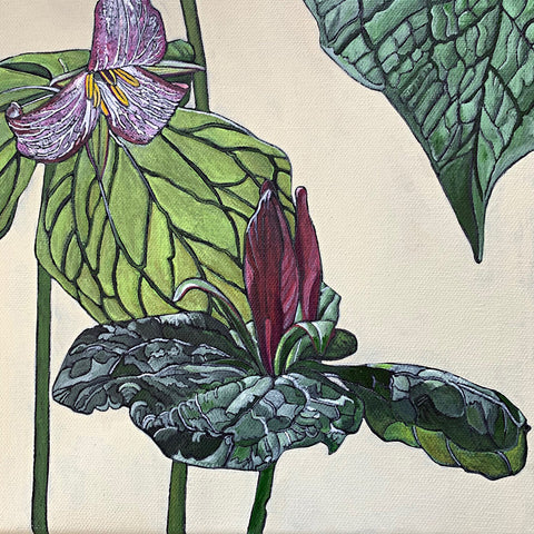 Detail of painting with pink trillium plants and luscious green leaves against a cream background by Frances Coates at Cottage Curator - Sperryville VA Art Gallery