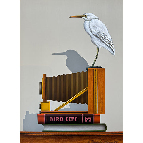 Bird Life 3 (Small White Heron)