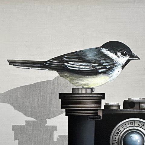 Detail of a trompe-l'œil painting of a chickadee sitting on a camera atop a pile of book, one that is titled "Bird Shots" against a white background by James Carter - Cottage Curator - Sperryville VA Art Gallery