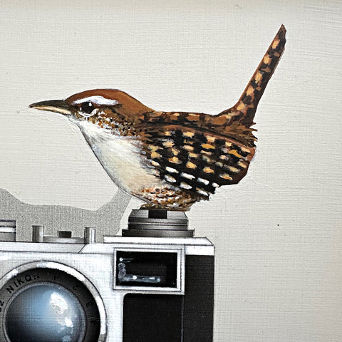 Detail view of a trompe-l'œil painting of a winter wren sitting on a Nikon camera atop a book titled "Bird Shots" and a wooden box against a white background by James Carter - Cottage Curator - Sperryville VA Art Gallery