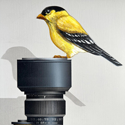 Detail of "Camera Shy" 2025 - a painting by James Carter at Nature's Studio - showing a yellow bird perched on a camera lens against a light gray background