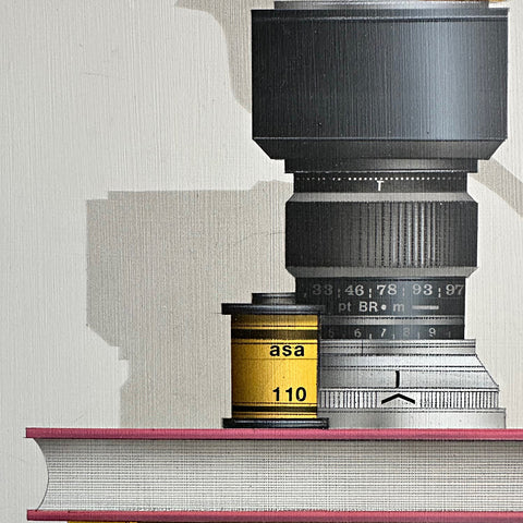 Detail of "Camera Shy" 2025 - a painting by James Carter at Nature's Studio - showing a camera lens and film canister on a textured surface