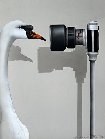 "Close Up (Mute Swan), 2025" - a painting by James Carter at Nature's Studio showing a white swan holding a camera lens against a gray background