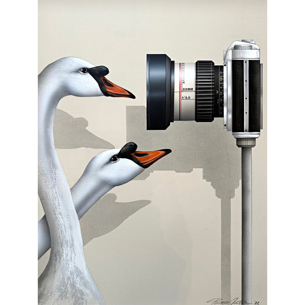 Photorealistic painting of two swans looking into a camera against a white background by James Carter at Cottage Curator - Sperryville VA Art Gallery