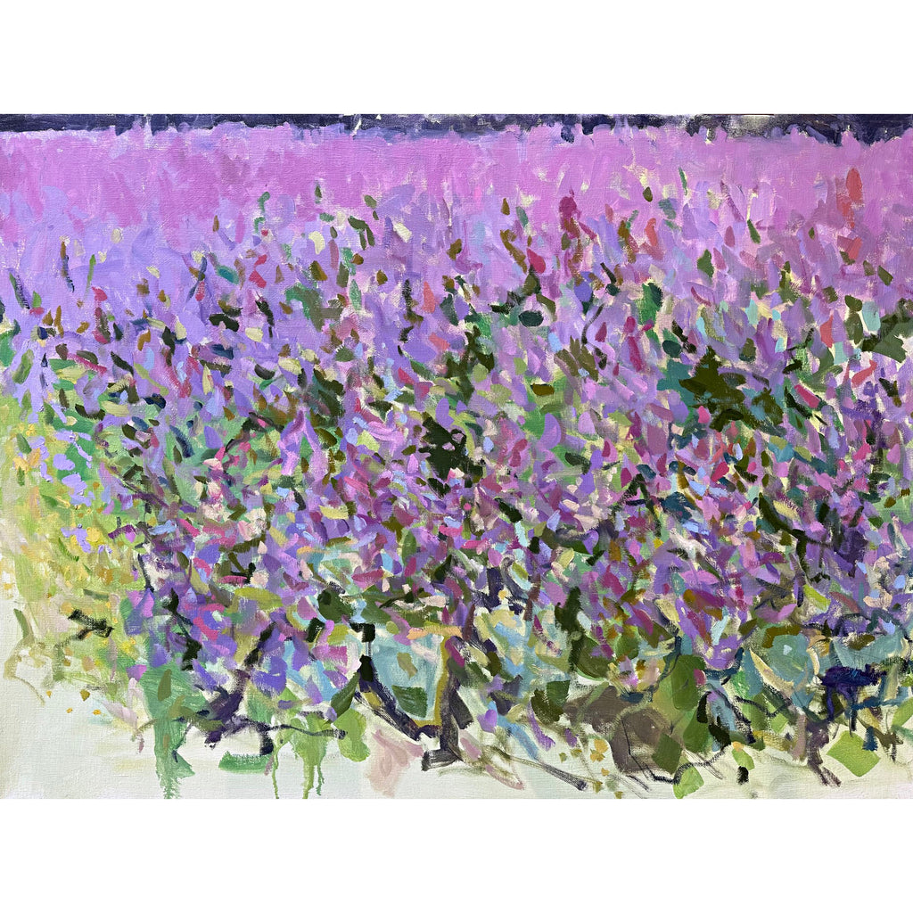 Impressionist painting of a field of sage pink wildflowers on a linen background by Priscilla Whitlock at Cottage Curator - Sperryville VA Art Gallery