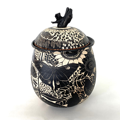 Large black and white lidded ceramic jar with sgraffito of insects, birds and plants with grape vine handle by Carolyn Blazeck at Cottage Curator - Sperryville VA Art Gallery