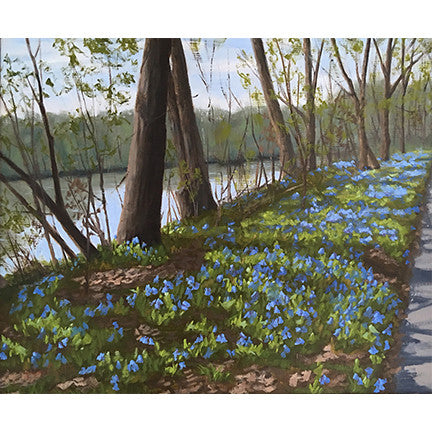 Bluebells Along the Shenandoah