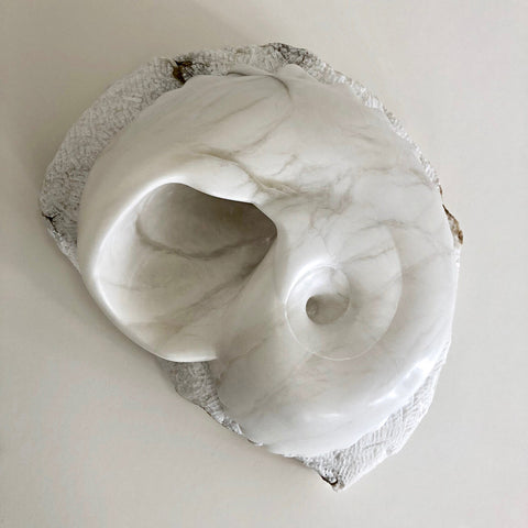 Paleozoic Shell