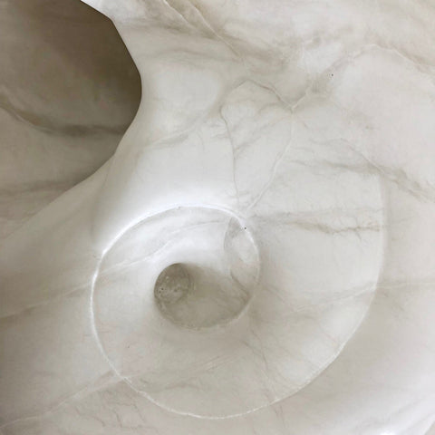 Paleozoic Shell