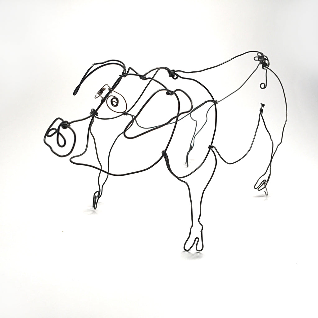 Pig