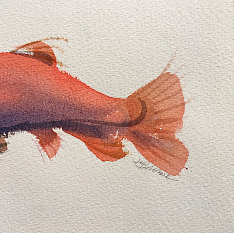 Detail of watercolor painting of pink salmon by Janet Brome at Cottage Curator art gallery Sperryville VA