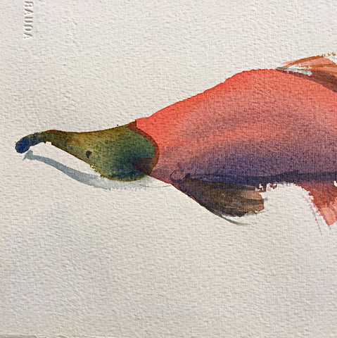 Detail of watercolor painting of pink salmon by Janet Brome at Cottage Curator art gallery Sperryville VA