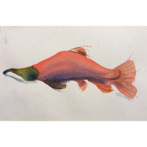 Watercolor painting of pink salmon by Janet Brome at Cottage Curator art gallery Sperryville VA