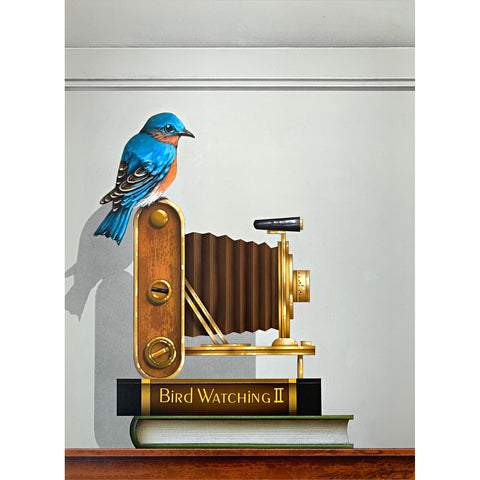 Realistic acrylic painting of Eastern Bluebird sitting on top of old-fashioned accordion camera atop two books, one labelled Bird Watching II by James Carter at Cottage Curator - Sperryville VA Art Gallery