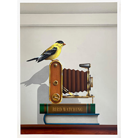 Painting of a goldfinch sitting atop an old-fashioned camera on top of a two books - one that says "Bird Watching" by James Carter at Cottage Curator - Sperryville VA Art Gallery