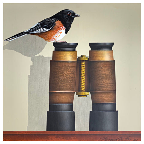 Bird Watching (Eastern Towhee)