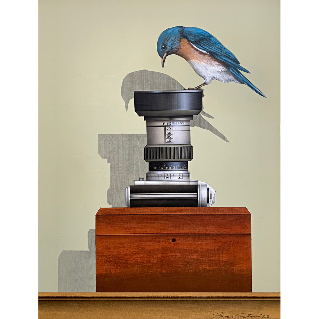 Trompe l'oeil painting of a bluebird perched atop a camera looking into the lens pointing up, which is sitting atop a box on a tabletop, with a crisp shadow projected on the beige wall behind by James Carter at Cottage Curator - Sperryville VA Art Gallery