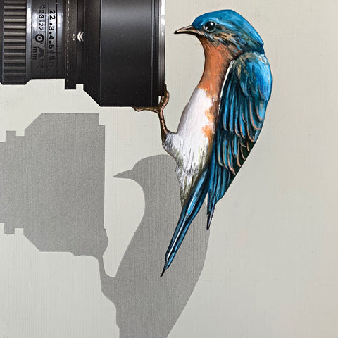 Detail of Realistic painting of an Eastern Bluebird hanging from the lens of a camera and looking in by James Carter at Cottage Curator - Sperryville VA Art Gallery
