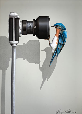 Realistic painting of an Eastern Bluebird hanging from the lens of a camera and looking in by James Carter at Cottage Curator - Sperryville VA Art Gallery