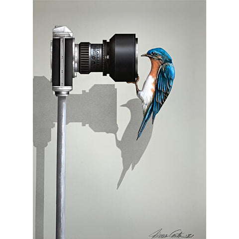 Realistic painting of an Eastern Bluebird hanging from the lens of a camera and looking in by James Carter at Cottage Curator - Sperryville VA Art Gallery