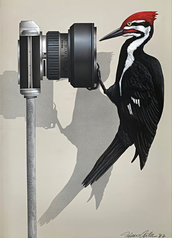 Trompe l'oeil painting of a camera with a pileated woodpecker hanging from it looking into the camera by James Carter at Cottage Curator - Sperryville VA Art Gallery