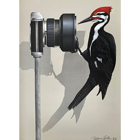 Trompe l'oeil painting of a camera with a pileated woodpecker hanging from it looking into the camera by James Carter at Cottage Curator - Sperryville VA Art Gallery