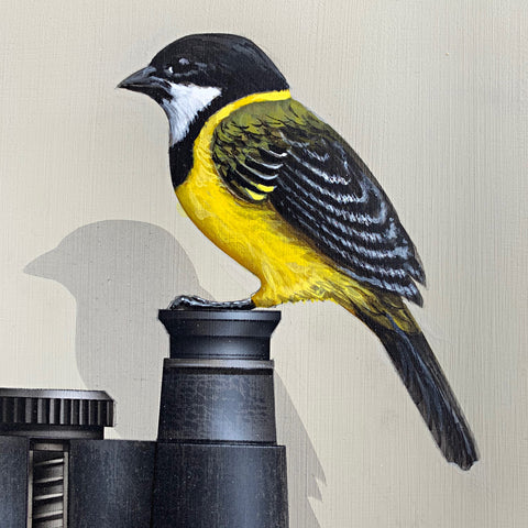 Detail of painting with a Golden Whistler perched atop a pair of binoculars against a white background by James Carter at Cottage Curator - Sperryville VA Art Gallery