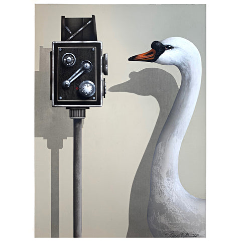 Painting of Mute Swan in front of an antique recording device by James Carter at Cottage Curator - Sperryville VA Art Gallery