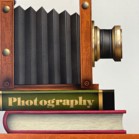 Detail of camera and books in realistic painting of a Painted Bunting sitting atop an old-fashioned accordion camera on two books by James Carter at Cottage Curator - Sperryville VA Art Gallery