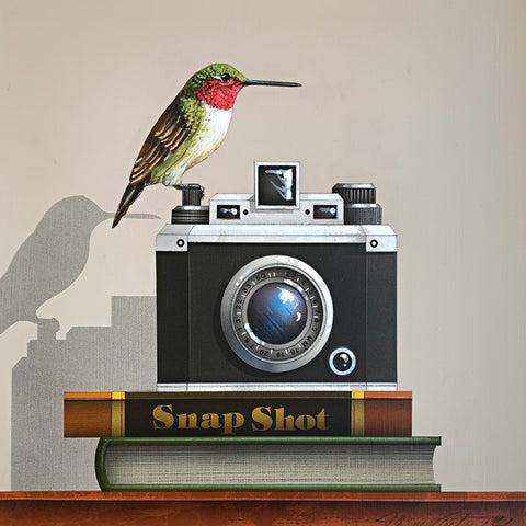 Snapshot (Ruby-throated Hummingbird)