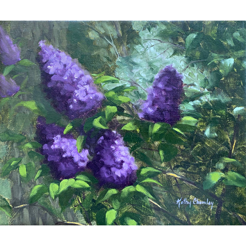 Lilacs