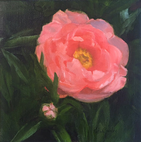 Peachy Peony