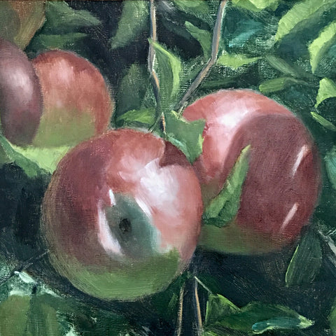 Study for "Apples"