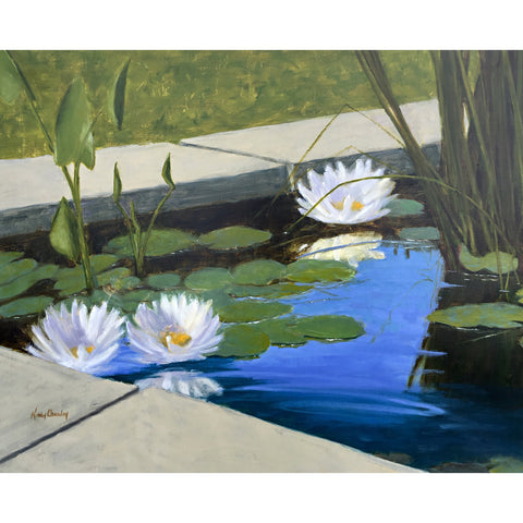 Waterlilies at Oatlands