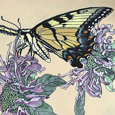 Detail of Four painting suite of butterflies - Great Spangled Fritillary, Monarch, Spicebush Swallowtail, Tiger Swallowtail - by Frances Coates at Cottage Curator - Sperryville VA Art Gallery