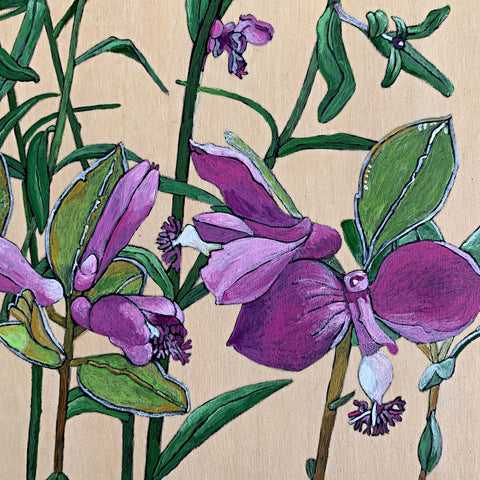 Detail of pink flowers in painting on wood panel of Gaywings and Racemed Milkwort with Cabbage Whites by Frances Coates at Cottage Curator - Sperryville VA Art Gallery