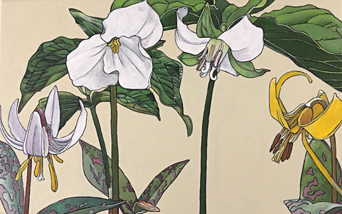 Painted family of white and yellow lilies on a cream background by Frances Coates