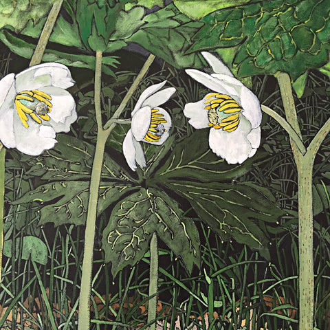 Mayapples