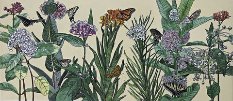 Milkweed Family III
