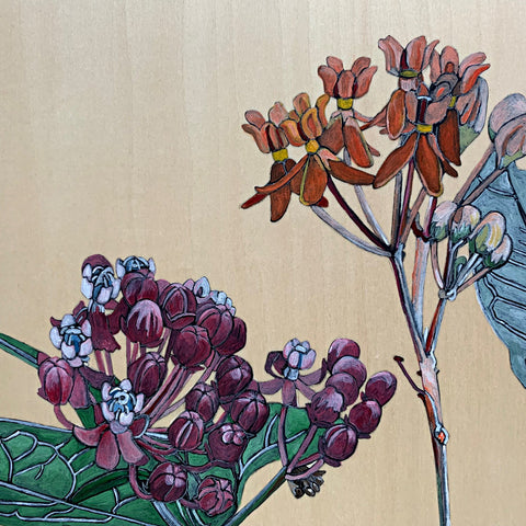 Detail of Acrylic painting on wood panel of Swamp, Few Flower, Purple and Whorled milkweed plants with monarch butterflies by France Coates at Cottage Curator - Sperryville VA Art Gallery