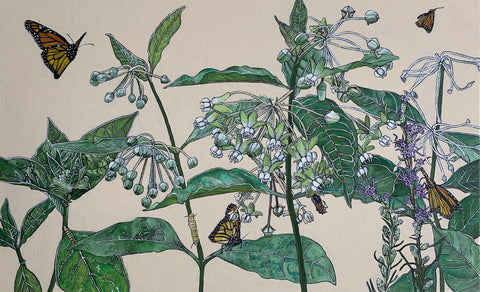 Horizontal painting of poke milkweed in various stages of blooming with monarch butterflies and caterpillars against an ivory background by Frances Coates at Cottage Curator - Sperryville VA Art Gallery