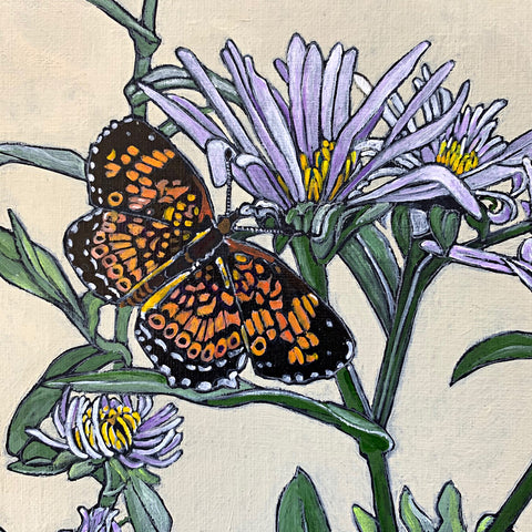 Detail of painting of purple asters with orange and black northern crescent butterflies against a cream background by Frances Coates at Cottage Curator - Sperryville VA Art Gallery