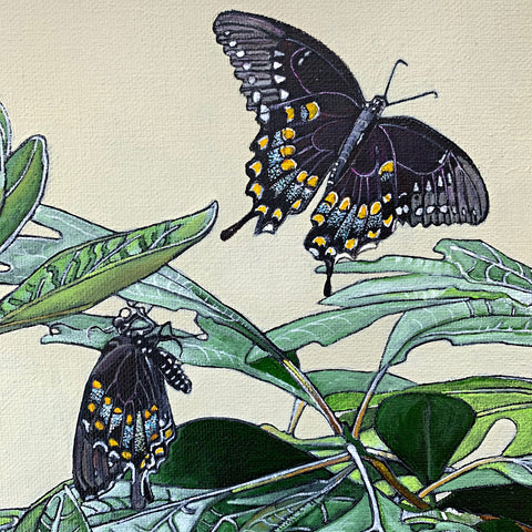 Detail of painting of sassafras bushes with yellow flowers and spicebush swallowtail butterfies in various stages against a cream background by Frances Coates at Cottage Curator - Sperryville VA Art Gallery